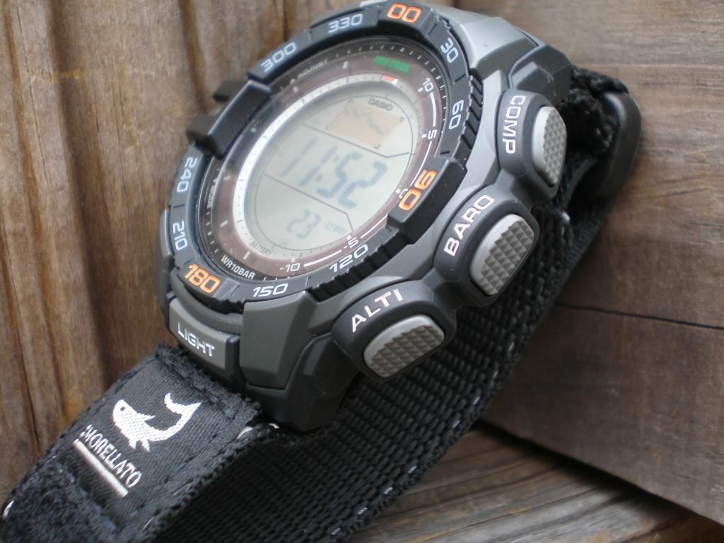 casio prg 270 nato strap