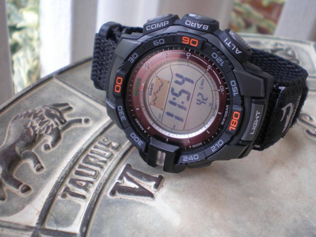 casio prg 270 nato strap