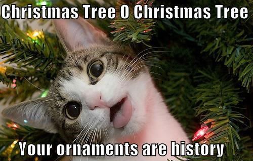  photo christmas-meme-010-ornaments-are-history.jpg