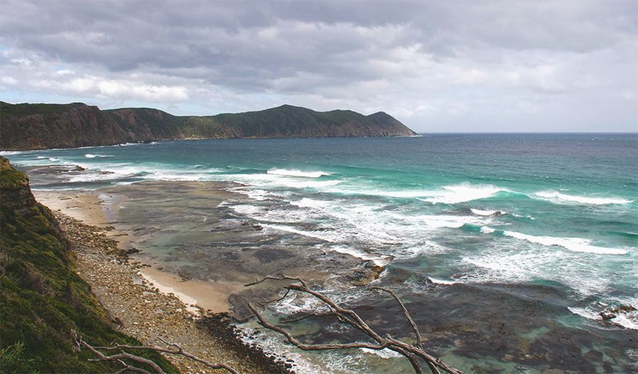 The southern walk, Cockle Creek