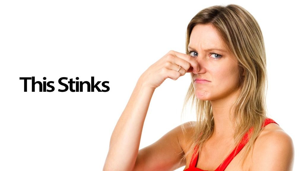 Stinky Pet Odor