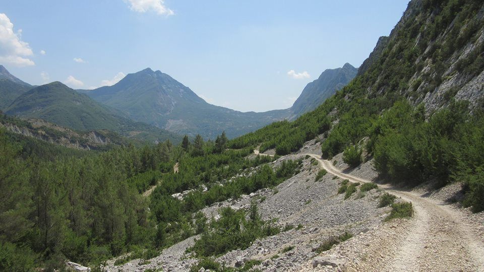 Slika