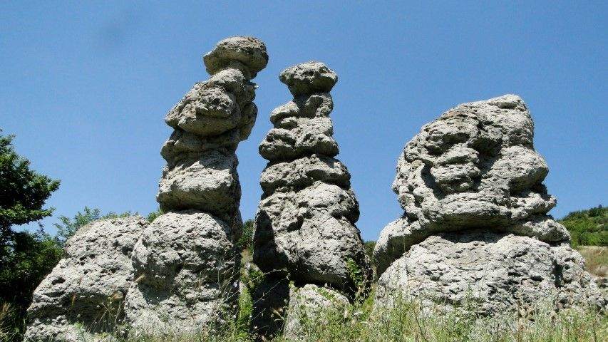 Slika