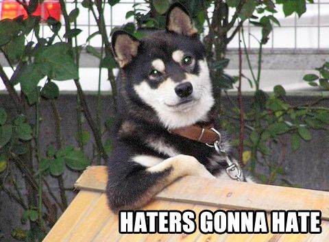 haters-gonna-hate-cool-dog_zpsspymvs0a.j