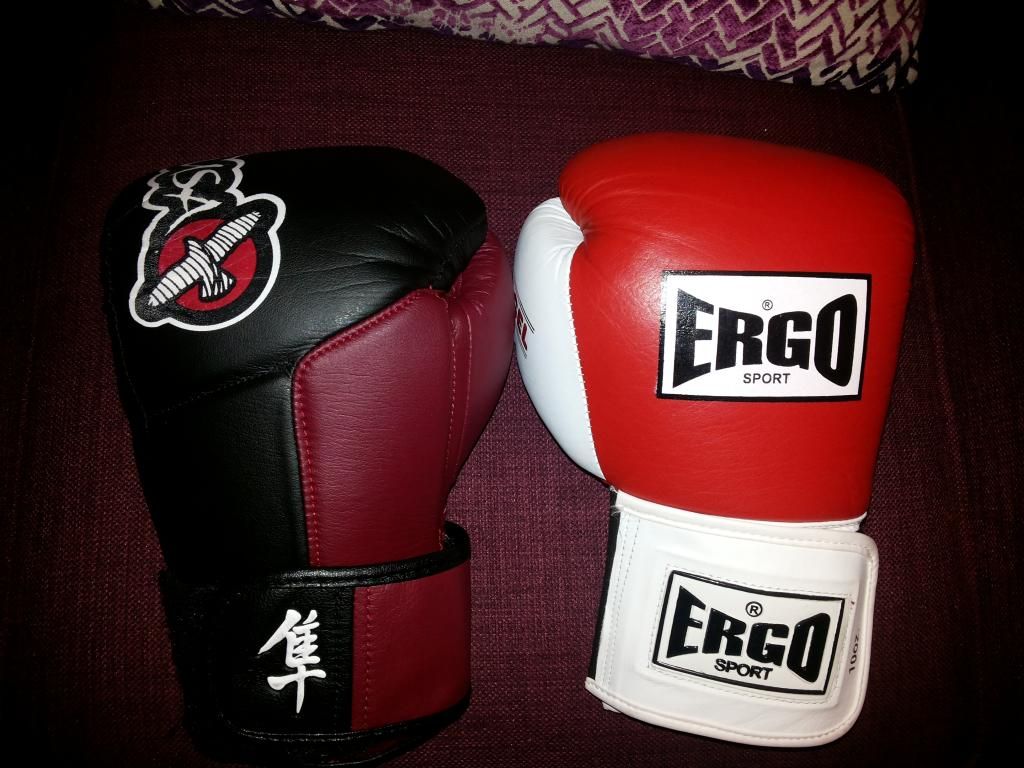 ergo boxing gloves