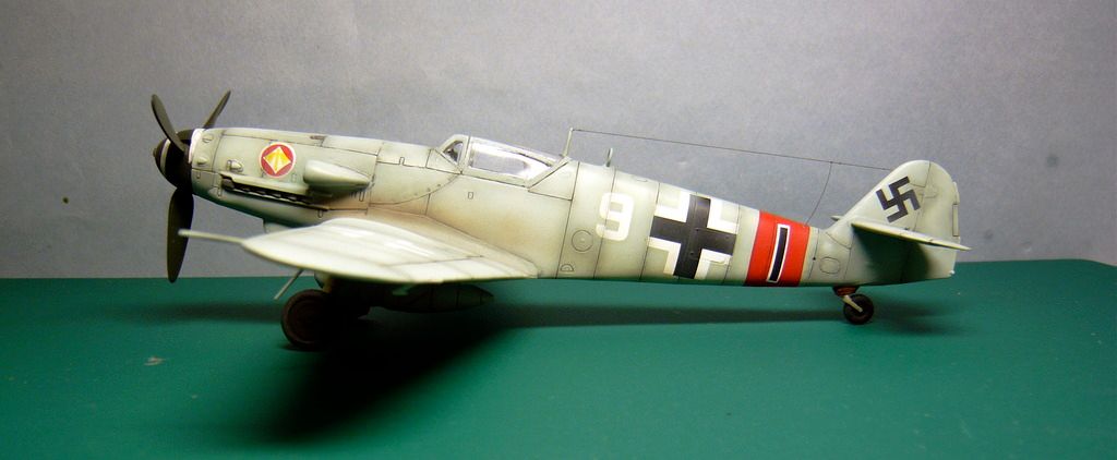 P1070514_zpszr6yhpjs.jpg