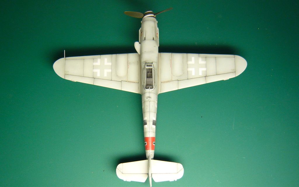 P1070516_zps4xiazoiv.jpg
