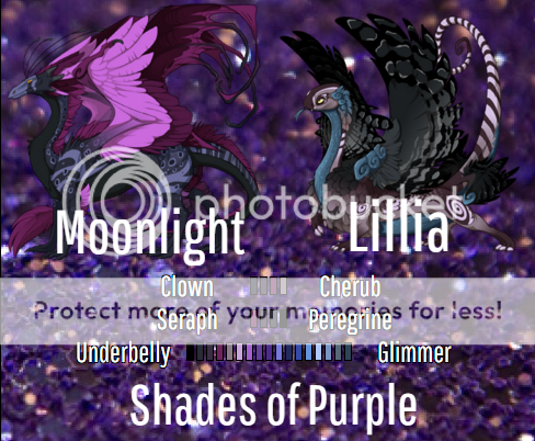 Moonlight%20and%20Lillia_zps5pse3znc.png