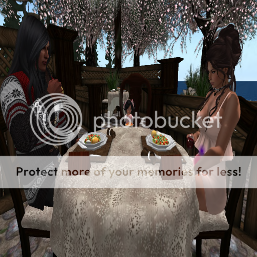  photo Snapshot _ Belle Vie Restaurant  Blade OGrass Pub Tree of Li_zpspga54tan.png